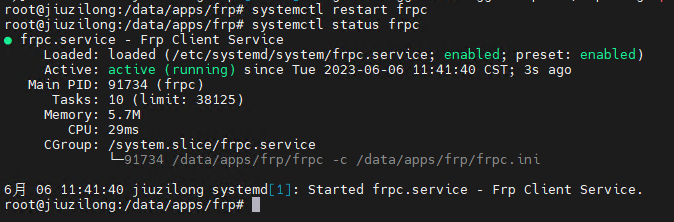 frpc 启动状态验证