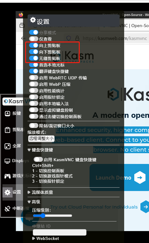 KasmVNC配置